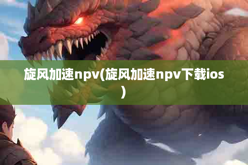 旋风加速npv(旋风加速npv下载ios)