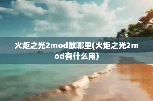 火炬之光2mod放哪里(火炬之光2mod有什么用)