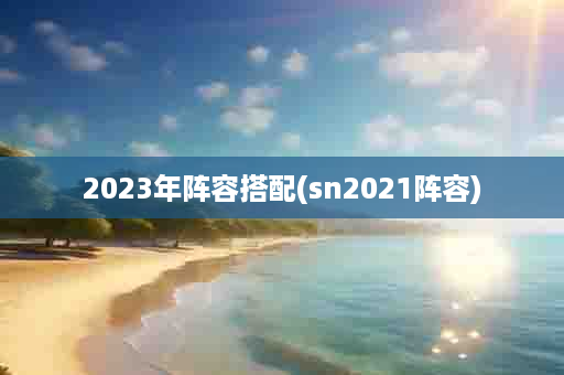 2023年阵容搭配(sn2021阵容)