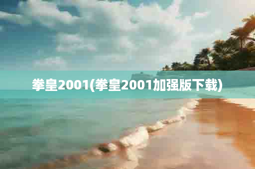 拳皇2001(拳皇2001加强版下载)