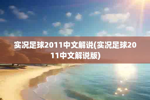 实况足球2011中文解说(实况足球2011中文解说版)