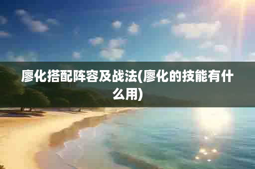 廖化搭配阵容及战法(廖化的技能有什么用)