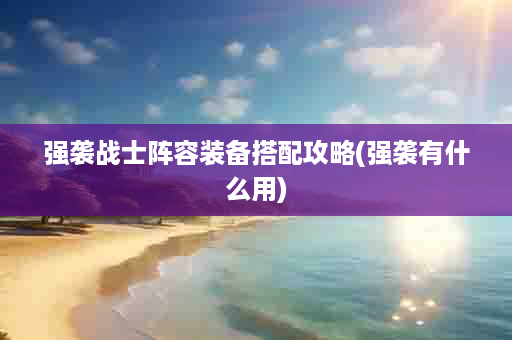 强袭战士阵容装备搭配攻略(强袭有什么用)