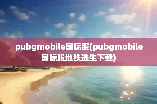 pubgmobile国际服(pubgmobile国际服地铁逃生下载)