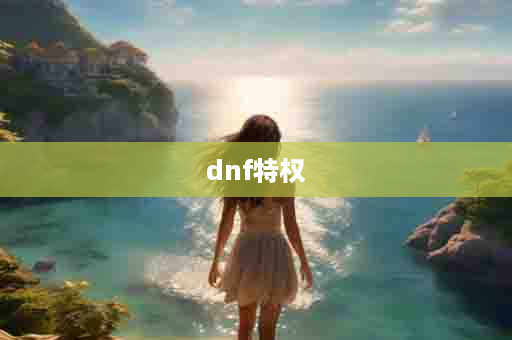 dnf特权