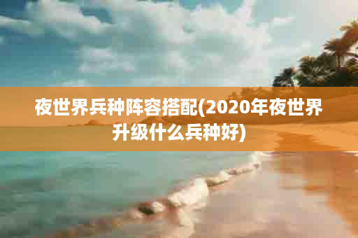 夜世界兵种阵容搭配(2020年夜世界升级什么兵种好)