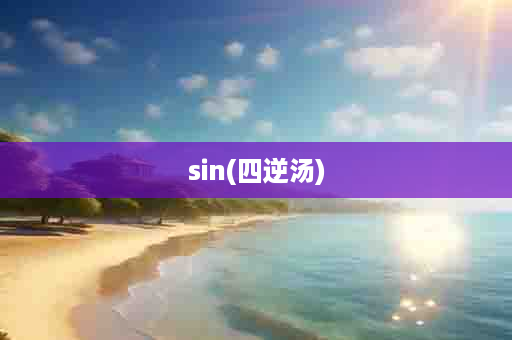 sin(四逆汤)