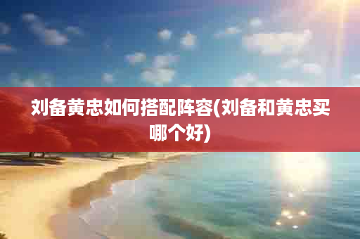 刘备黄忠如何搭配阵容(刘备和黄忠买哪个好)