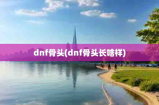 dnf骨头(dnf骨头长啥样)