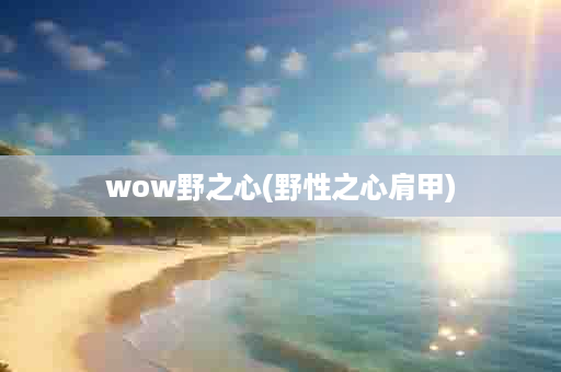 wow野之心(野性之心肩甲)