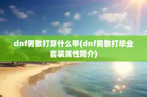 dnf男散打穿什么甲(dnf男散打毕业套装属性简介)