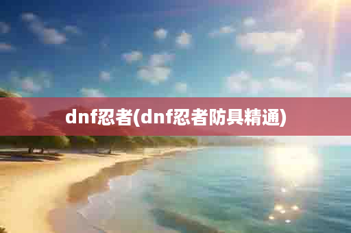 dnf忍者(dnf忍者防具精通)