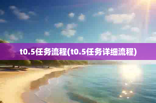 t0.5任务流程(t0.5任务详细流程)