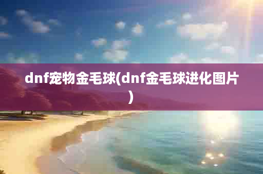 dnf宠物金毛球(dnf金毛球进化图片)