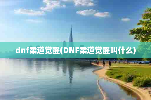 dnf柔道觉醒(DNF柔道觉醒叫什么)