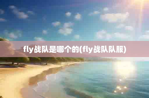 fly战队是哪个的(fly战队队服)